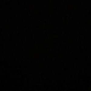 Meet your Posher, Ella